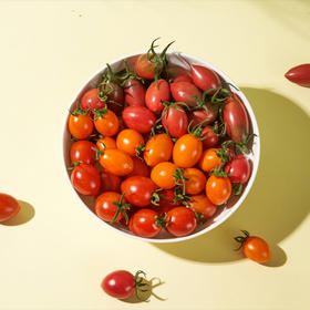 【分仓直发包邮】多彩小番茄3斤天地盖礼盒（随机3-5种小番茄混装）