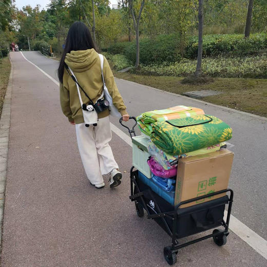 徽羚羊 云途 拖车 5寸轮 黑色HLY-YYTC-002 商品图3