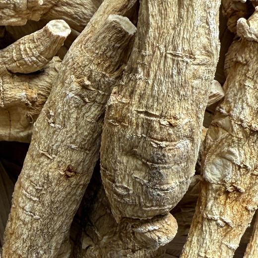 纯加拿大原产西洋参原枝 5年足龄老参 花旗参 药食同源 温性 养生上品 I百里食 商品图7