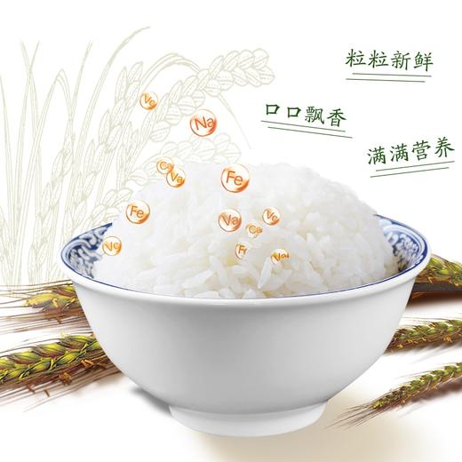 中粮皇家粮仓金花芭曼颂柬埔寨香米2.5公斤 商品图3