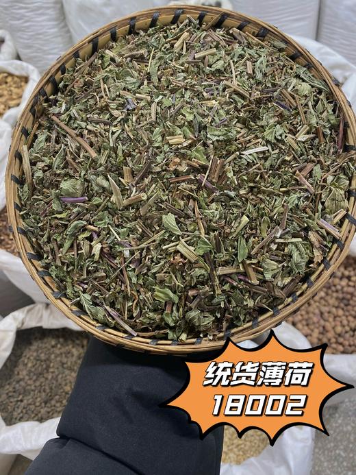 薄荷 常用规格 云南本地品种  薄荷叶  薄荷茶 商品图3