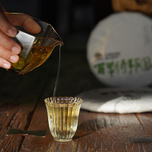 【福元昌茶厂】2024年百年倚邦圆茶357克生饼 商品图3