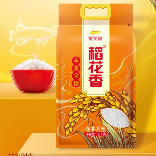金龙鱼丰收金穗稻花香5kg 商品图0