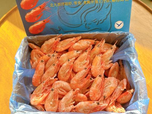 北极虾 商品图5