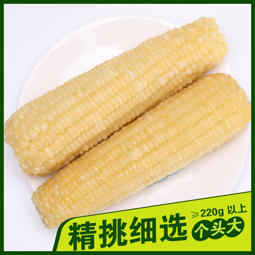 黑龙江 真空白糯玉米（260g/穗）10穗/箱  【木兰优选】 商品图1