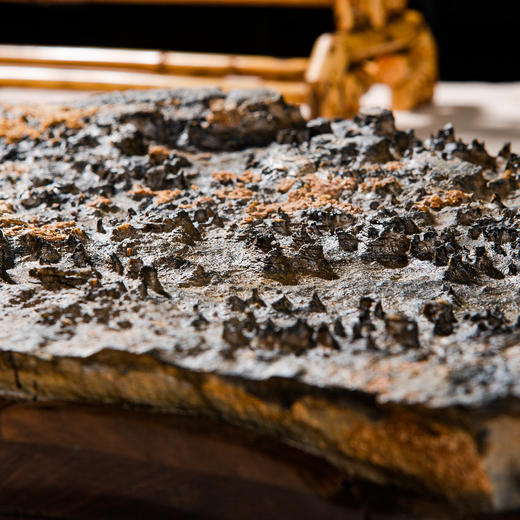 灵璧石楼兰景观文房赏石 商品图3