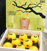山东小雀斑维纳斯苹果8头约3.2斤/箱  | 国产水果 商品缩略图0