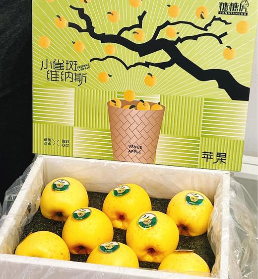 山东小雀斑维纳斯苹果8头约3.2斤/箱  | 国产水果 商品图0