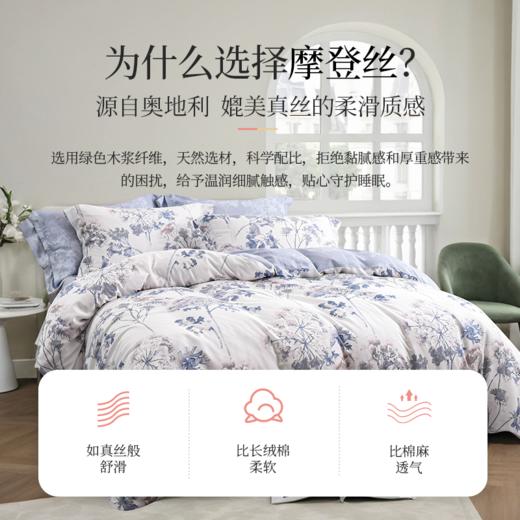 雅芳婷摩登丝五件套专柜同款套件被套薄被芯床笠枕套一对连芯扣 商品图1