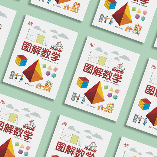 《DK图解数学：进阶版》 商品图2