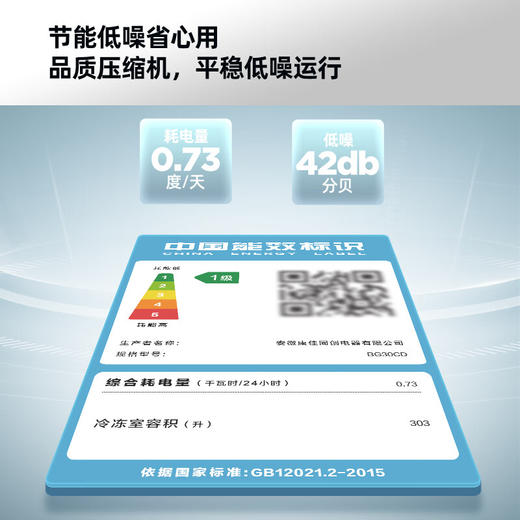 303升智能减霜单温家用商用冷柜 BG30CD 商品图2