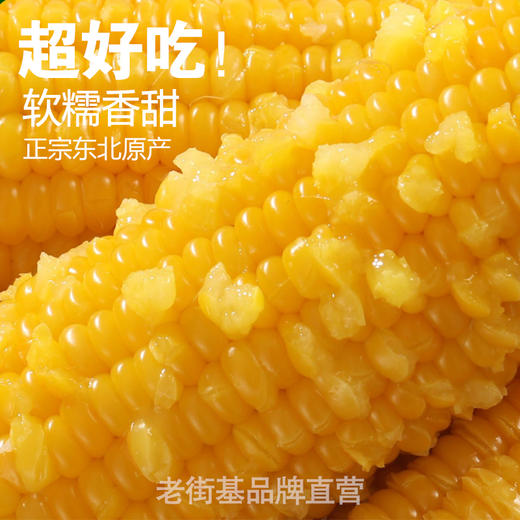 黑龙江 真空黄糯玉米（260g/穗）10穗/箱  【木兰优选】 商品图3