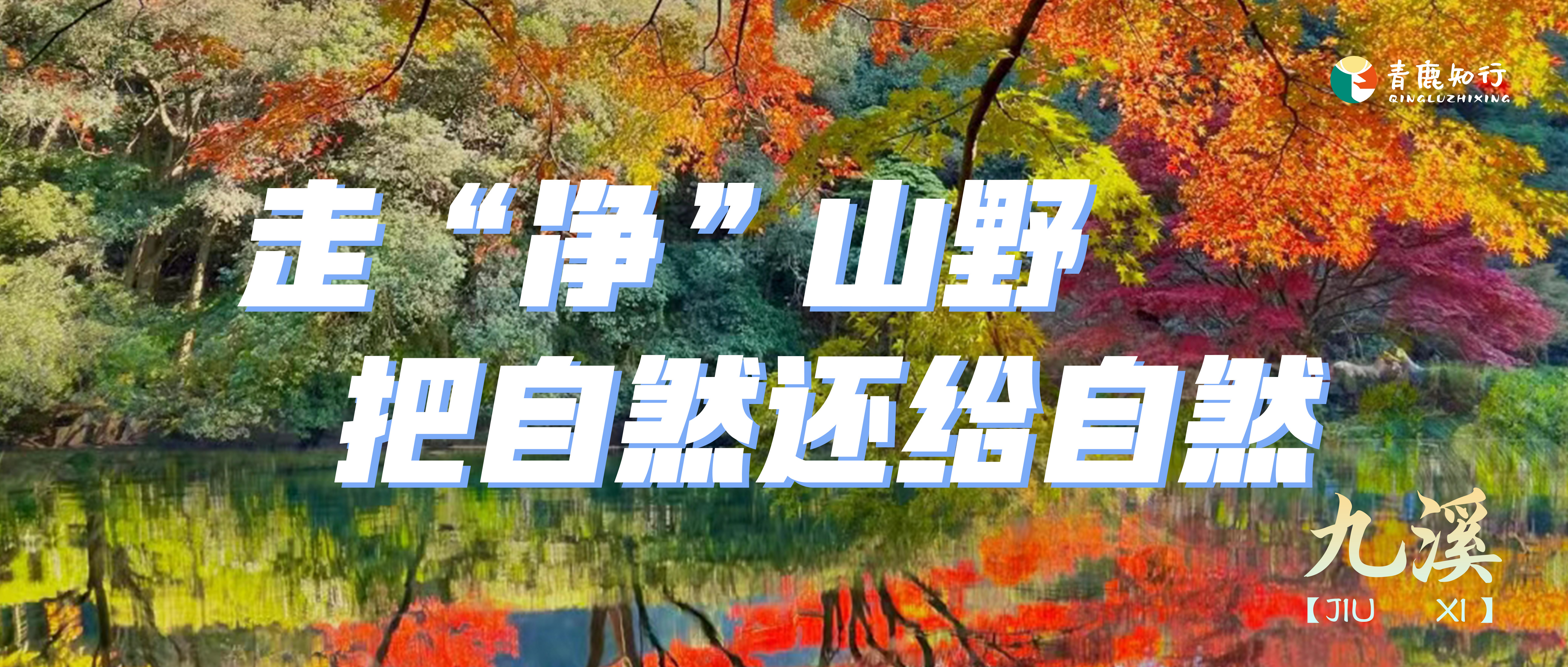 【九溪徒步】这真的不是童话!是杭州12月的九溪十八涧！