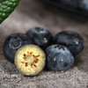 【分仓直发包邮】云南花香蓝莓2盒大果（125g/盒）  商品缩略图1