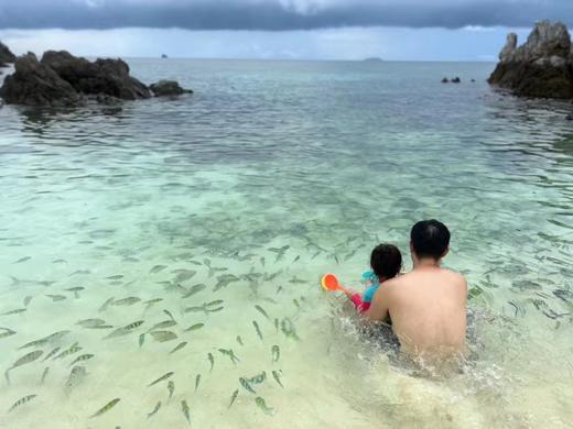 泰国普吉PH蛋岛快艇半日游/一日游[中文导游| 体验浮潜] 商品图6