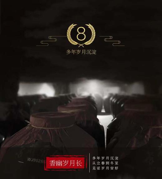 古井贡酒年份原浆中国香   古井贡8年500ml 50% 商品图1