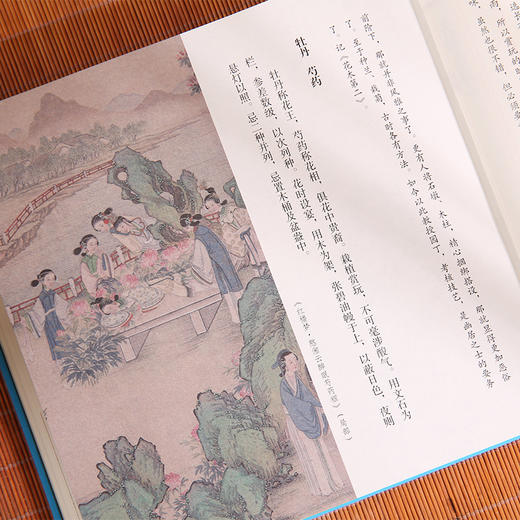 长物志：小楷书法插图珍藏本 商品图5