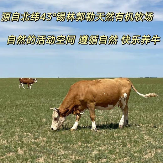 内蒙古草原有机牛肉片 商品图4