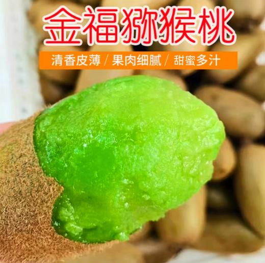【包邮】陕西金福猕猴桃 微软甜糯 熟透果冻 圆柱形个大 猕猴桃家族新宠 商品图0