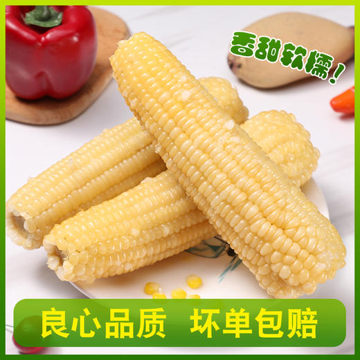 黑龙江 真空白糯玉米（260g/穗）10穗/箱  【木兰优选】 商品图9