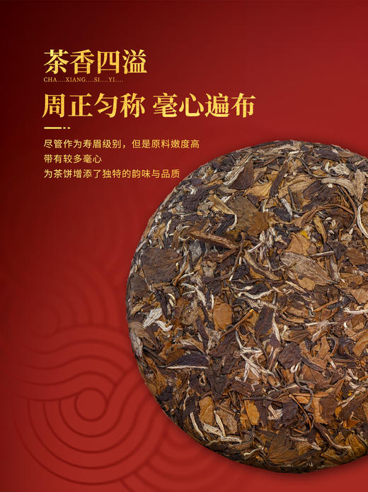 【现货速发】湖畔居金蛇献瑞蛇年生肖纪念茶饼紧压白茶350g茶叶礼盒装新年送礼 商品图2