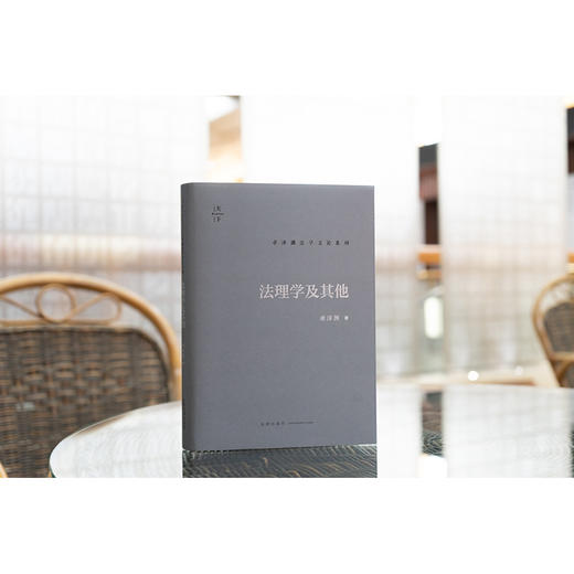 法理学及其他 卓泽渊著 法律出版社 商品图2