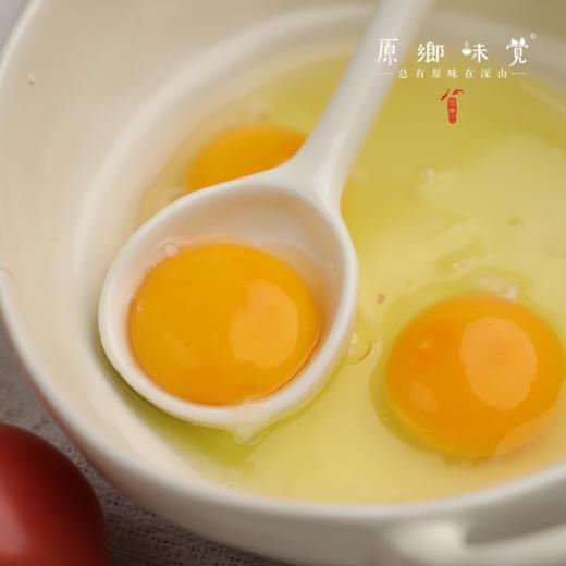 生态土鸡蛋（基地直发-顺丰包邮）|  30枚/盒，来自山东济南，生产者：田海平【合作生产，公平贸易】 商品图5