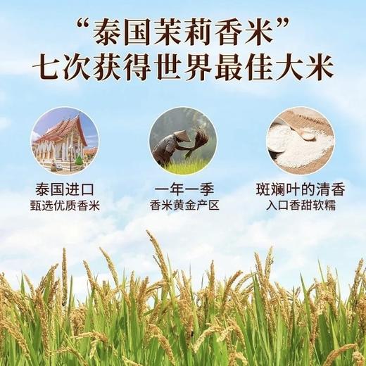疯抢中！！【泰国进口拉玛贡香米】2024年11月到货新米 长粒饱满 口感软糯劲道好吃 商品图1
