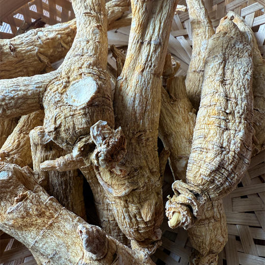 纯加拿大原产西洋参原枝 5年足龄老参 花旗参 药食同源 温性 养生上品 I百里食 商品图10