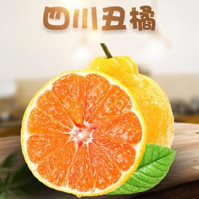 【分仓直发包邮】丑橘不知火5斤大果
