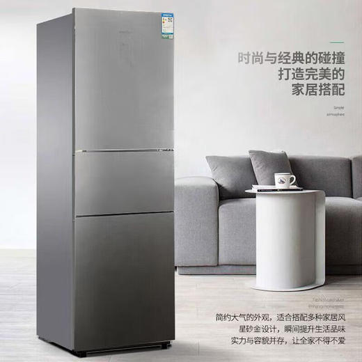 容声221升三门电冰箱家用冷冻冷藏风冷无霜软冷冻出租房小型宿舍节能 221WRB3NYC/灰色/风冷钢玻门 商品图5