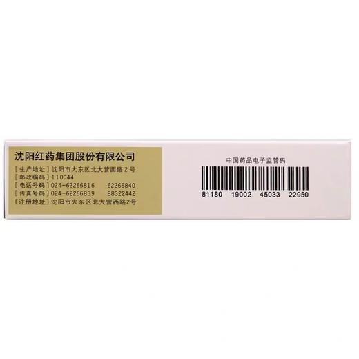 KJ 乳癖消片 36片 沈阳红药 商品图1