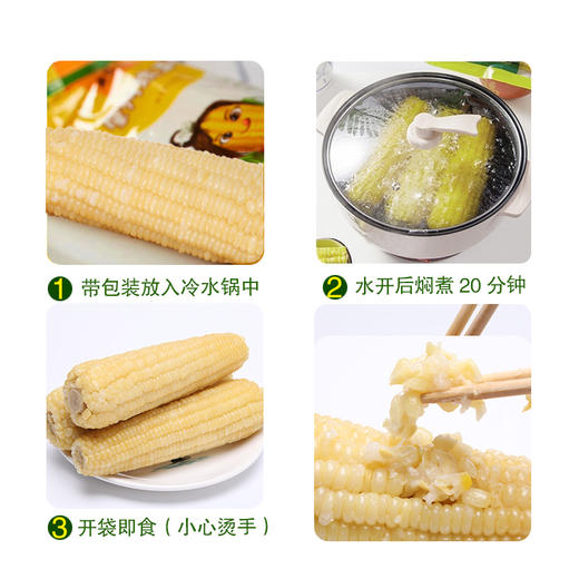 黑龙江 真空白糯玉米（260g/穗）10穗/箱  【木兰优选】 商品图4