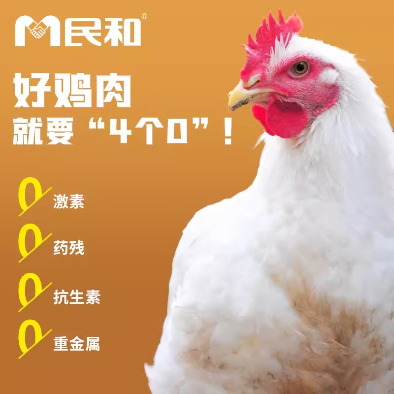 【民和奥尔良/湘鄂手枪腿】大小朋友的最爱