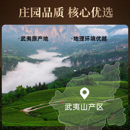 华祥苑-21g尚宾特级茶大红袍+肉桂+金骏眉品鉴茶 商品图3