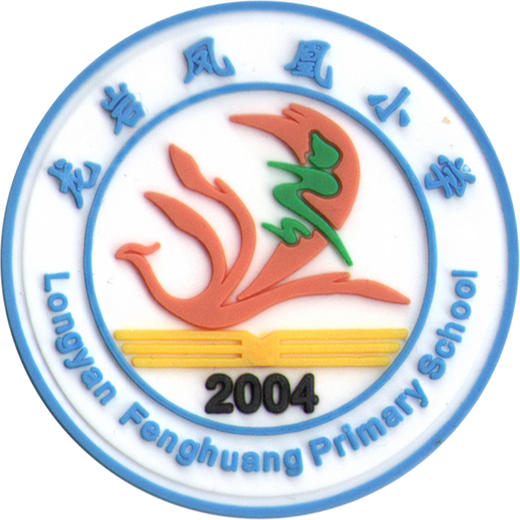 龙岩凤凰小学 新款（冬装）新面料 商品图0