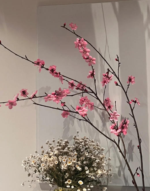 【桃花朵朵开 幸福处处来】桃花枝遇水开花书房水培干枝花卉带花苞客厅桃树枝条鲜枝水养 商品图2