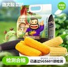 心选丨鹿大叔有机糯玉米 粘糯拉丝 老嫩适中 商品缩略图0