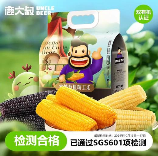 心选丨鹿大叔有机糯玉米 粘糯拉丝 老嫩适中 商品图0