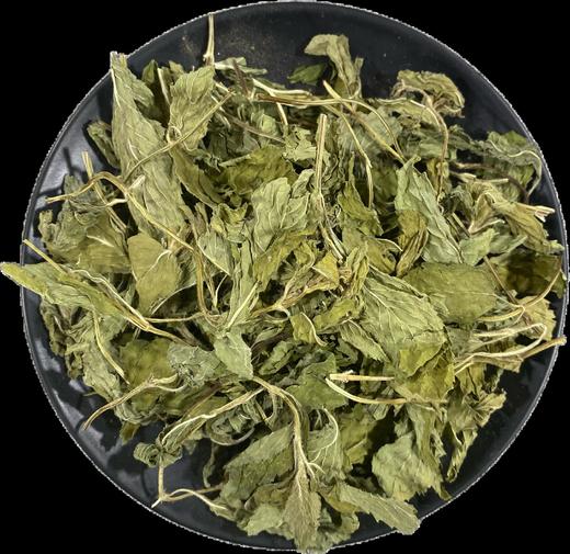 薄荷 常用规格 云南本地品种  薄荷叶  薄荷茶 商品图4