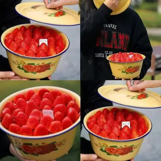 搪瓷盆草莓蛋糕-猪油盆里的甜蜜情怀-约6寸【网红蛋糕】 商品图1