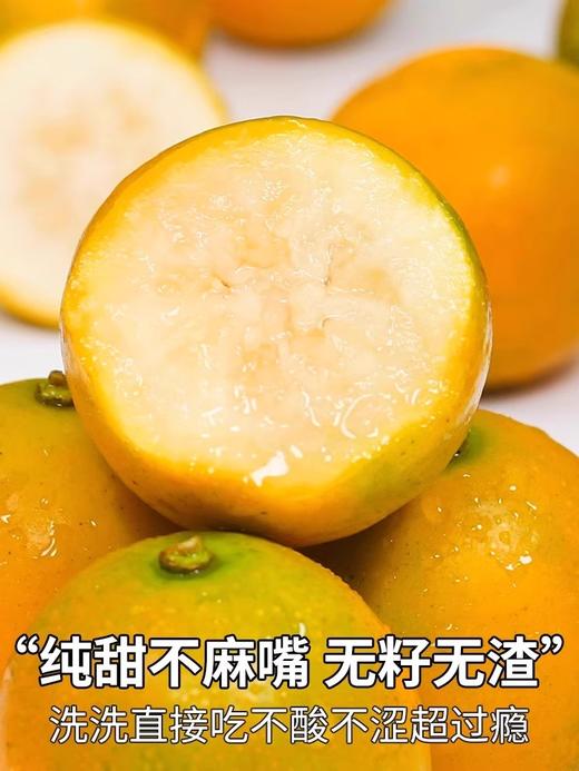 广西南宁 滑皮金桔 新鲜当季水果 基地直发 商品图1