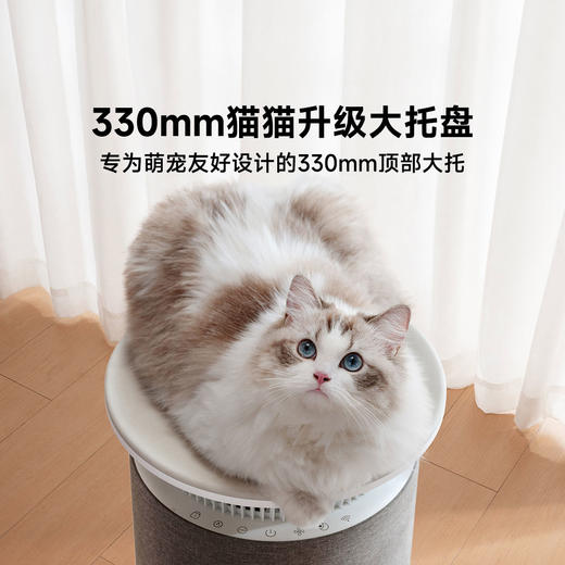 P300贝昂宠物净化器 商品图3