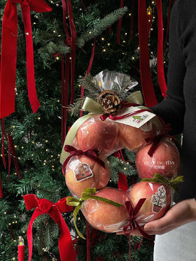 圣诞限定 ｜岁岁苹安 · 圣诞花环（承包全家人的平安果）