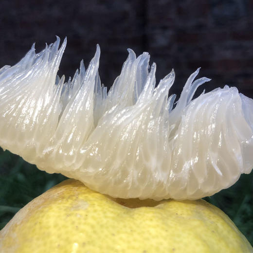 【分仓直发包邮】江永香柚2粒装（约3.5-4斤） 商品图4