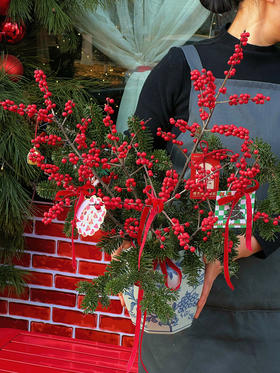 圣诞限定 ｜冬日恋歌 · 瓶花 （含花瓶）