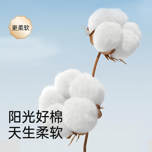 碧芭宝贝云霓绮梦系列安心裤经期裤安睡裤5片 商品图2