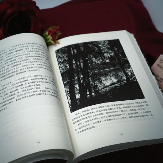 【9本套装】不确定宣言9册 商品图5