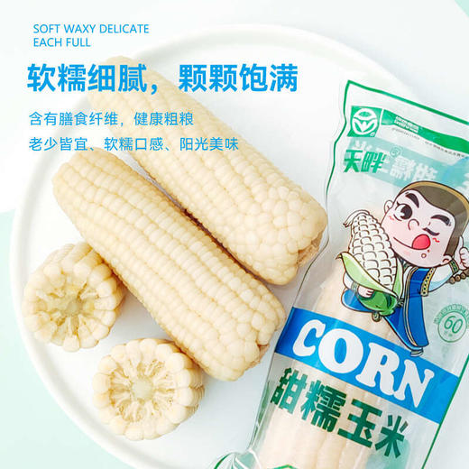 【白糯】天畔新疆白糯玉米 甜糯玉米 绿色食品认证 商品图3