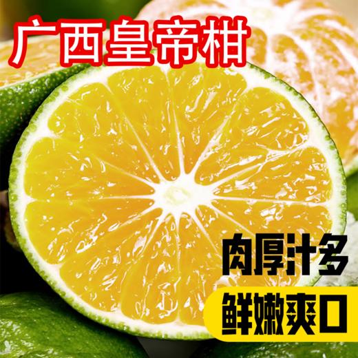 【分仓直发包邮】广西皇帝柑5斤装中果（果径55-60mm） 商品图0